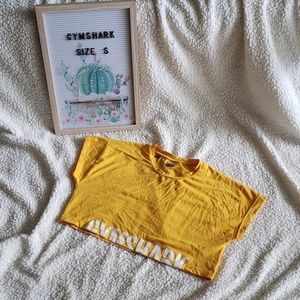 Gymshark fraction crop top